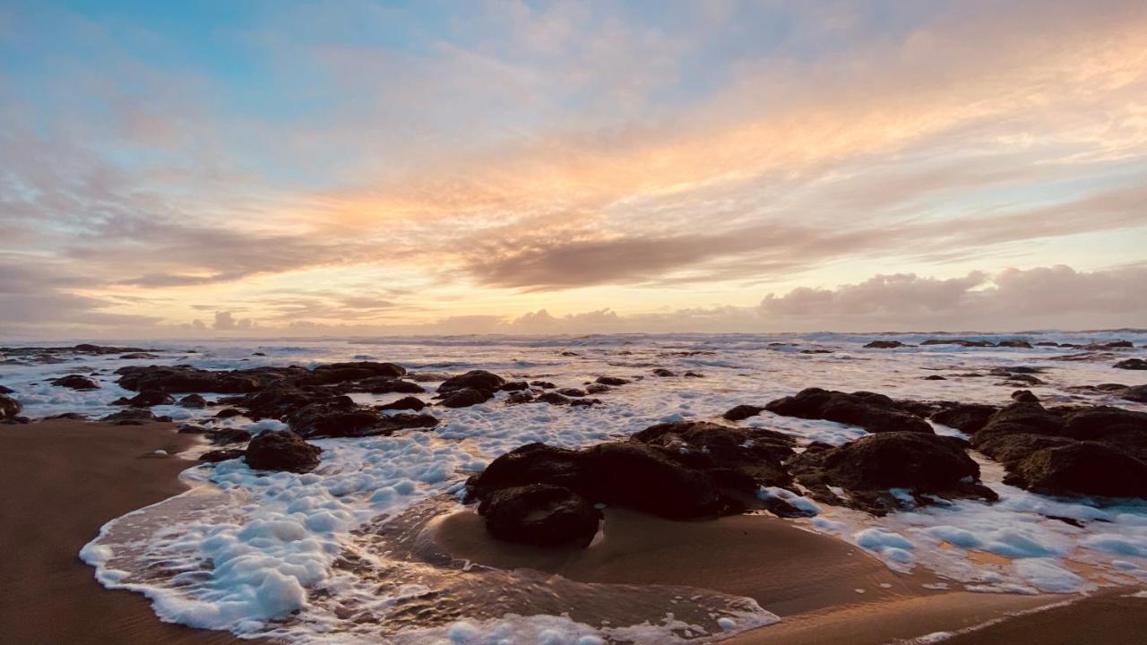 Seahorse Oceanfront Lodging Lincoln City Dış mekan fotoğraf